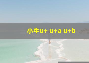 小牛u+ u+a u+b